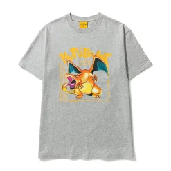 Hypebeast X Pokemon Charizard T-Shirt Grey ||Plus Discount