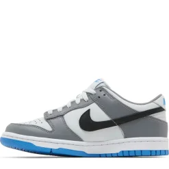Nike Dunk Low Cool Grey Light Photo Blue (GS)|Plus Online