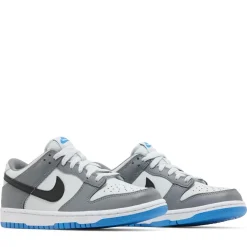 Nike Dunk Low Cool Grey Light Photo Blue (GS)|Plus Online