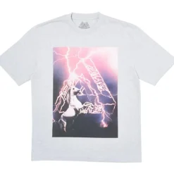 Palace Corn T-Shirt Grey Marl ||Plus Best